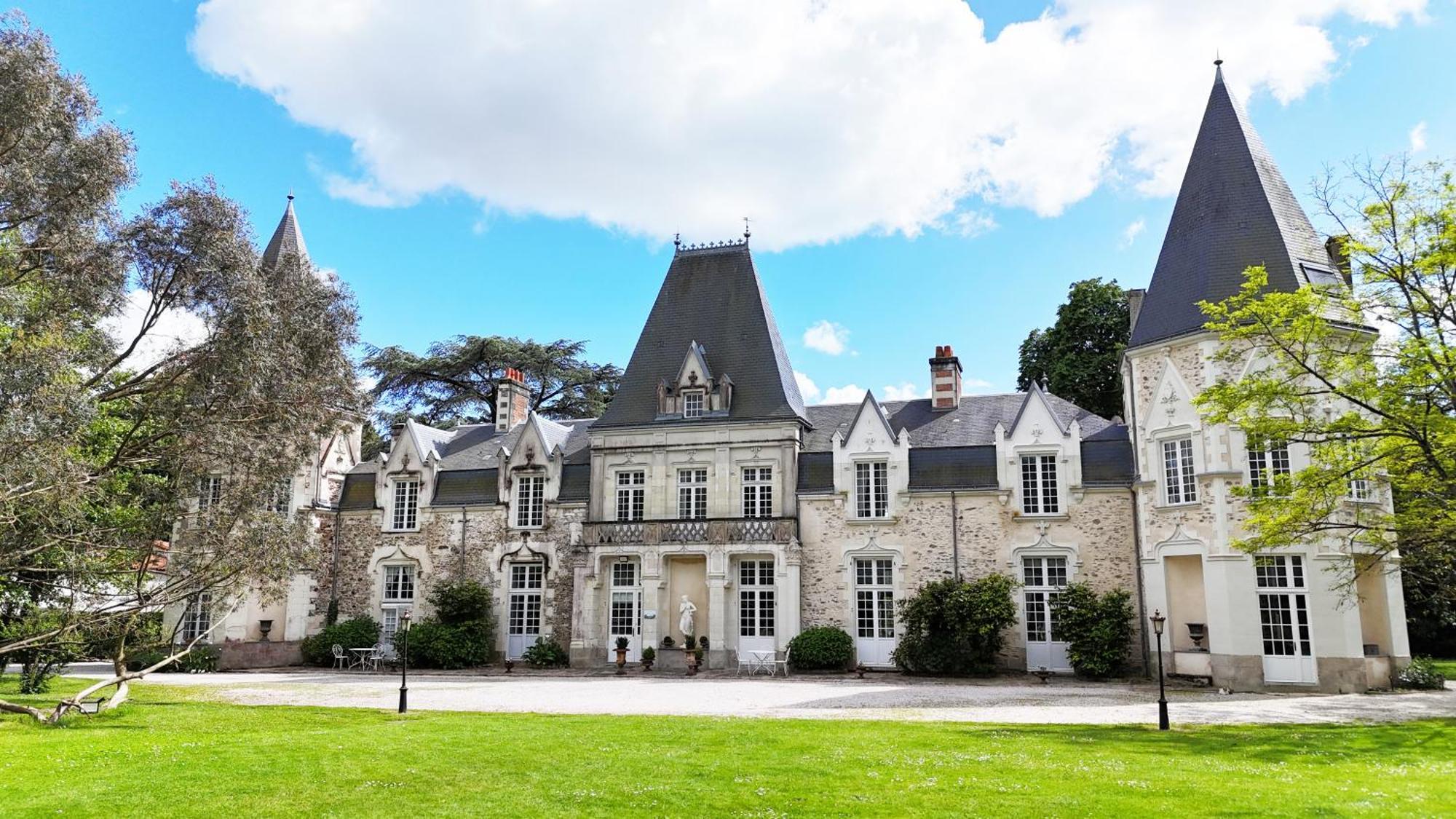 Chateau Du Bois De La Noe Bouaye Buitenkant foto