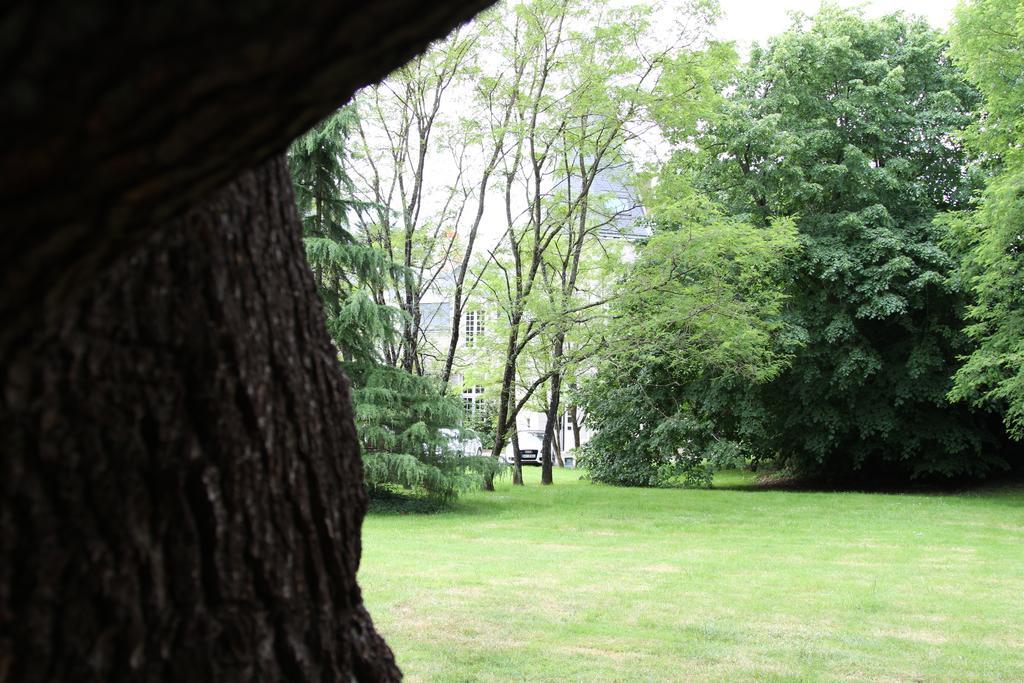 Chateau Du Bois De La Noe Bouaye Buitenkant foto