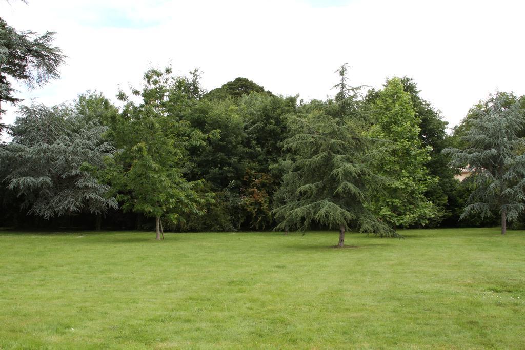 Chateau Du Bois De La Noe Bouaye Buitenkant foto