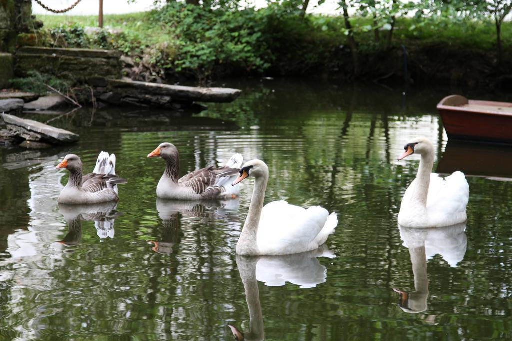 Chateau Du Bois De La Noe Bouaye Buitenkant foto